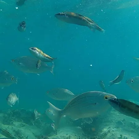 Apartament The White House With Pool -