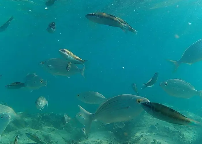 Apartment The White House With Pool -